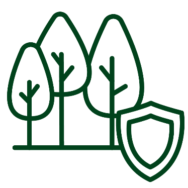 Some forest trees with a safety icon next to it